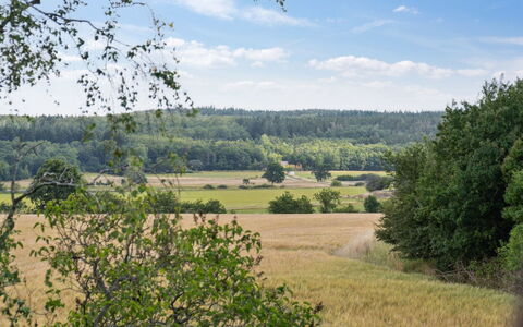 Hansen - 5.2Km from the Sea: Roof, House, Land Lot, Home, Cottage, Estate, Garden Buildings, Shade, Log Cabin, Landscaping