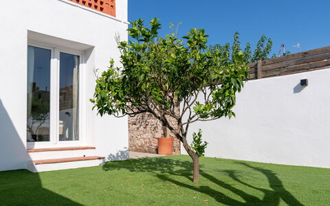 Rita: Cloud, Sky, Plant, Arecales, Shade, Tree, Coastal And Oceanic Landforms, Leisure, Terrestrial Plant, Boat