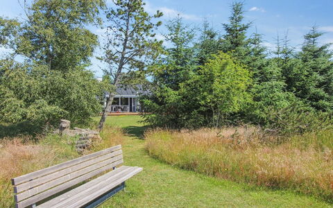 Valda - 1.5Km from the Sea: Tree, Green, Grass, Leaf, Vegetation, Shrub, Land Lot, Plant Community, Groundcover