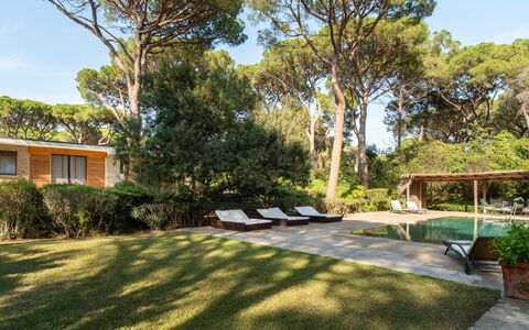Villa La Pineta: Plant, Sky, Building, Window, Tree, Shade, Land Lot, Grass, Residential Area, Cottage