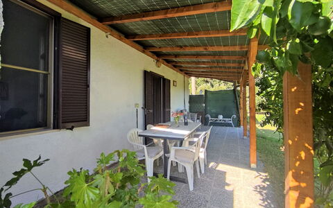 Country House: Plant, Property, Building, Table, Window, Shade, Wood, Botany, Interior Design, Outdoor Furniture