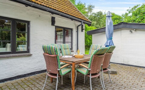 Rina - 250M from the Sea: Vegetation, Shrub, Spring, Cottage, Garden, Shade, Backyard, Yard, Chair