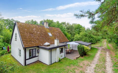 Rina - 250M from the Sea: Vegetation, Shrub, Spring, Cottage, Garden, Shade, Backyard, Yard, Chair