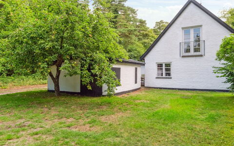 Rina - 250M from the Sea: Vegetation, Shrub, Spring, Cottage, Garden, Shade, Backyard, Yard, Chair