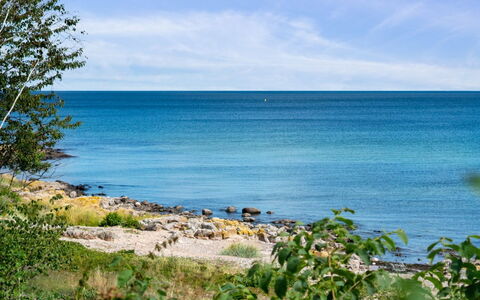 Helin - 100M from the Sea: Vegetation, Shrub, Spring, Cottage, Garden, Shade, Backyard, Yard, Chair