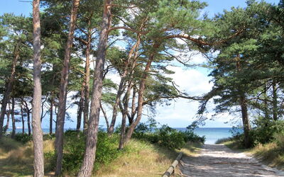 Atena - 250M from the Sea