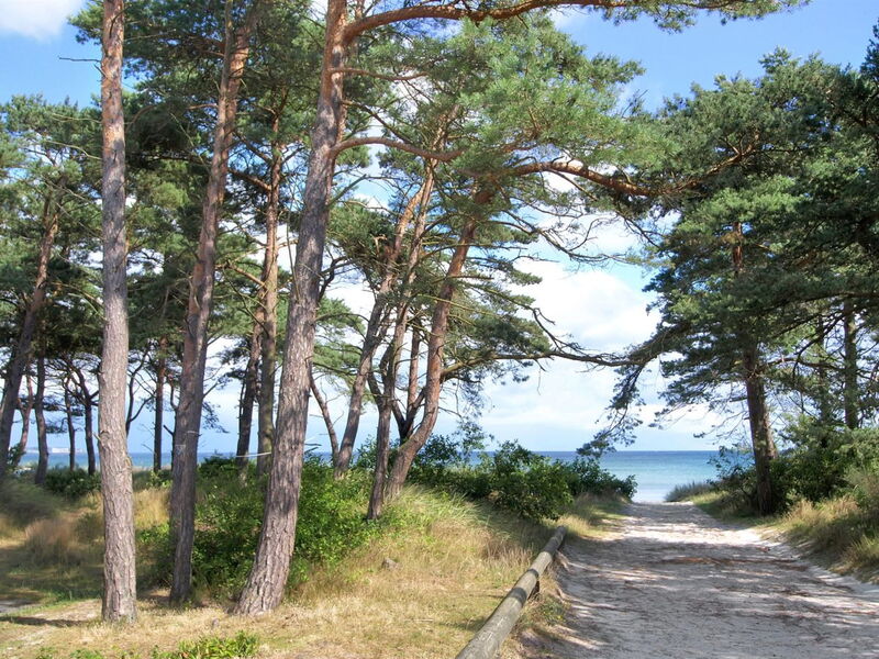 Atena - 250M from the Sea