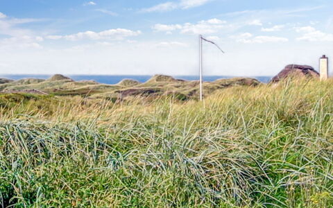 Hoat - 300M from the Sea: Sky, Blue, Grass, Green, Vegetation, Grassland, Ecoregion, Plant Community, Land Lot, Shrubland