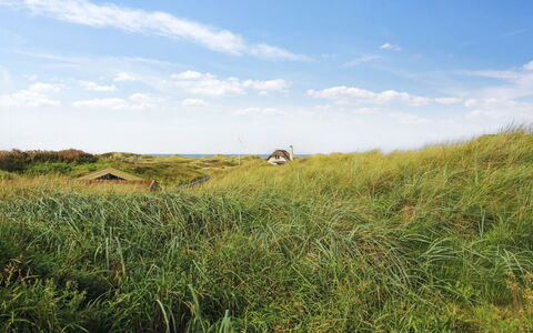 Hoat - 300M from the Sea: Sky, Blue, Grass, Green, Natural Environment, Grassland, Vegetation, Ecoregion, Summer, Prairie