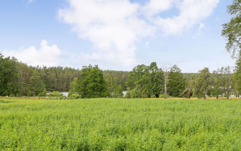 Skogstorpet: Window, Building, Azure, Wood, Floor, Comfort, House, Flooring, Hall
