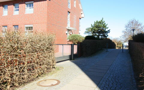 Morgensonne: Property, Plant, Sky, Window, Building, Road Surface, Brick, Brickwork, Asphalt, Tree