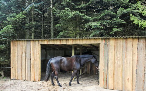 Thana - 8Km from the Sea: House, Home, Door, Roof, Cottage, Estate, Garden, Shade, Siding, Yard