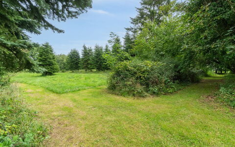 Thana - 8Km from the Sea: House, Home, Door, Roof, Cottage, Estate, Garden, Shade, Siding, Yard