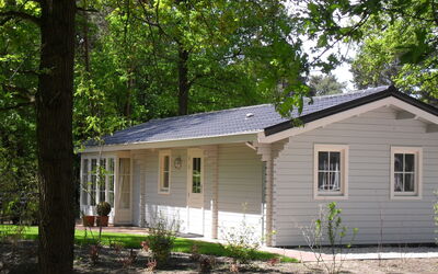 Accommodation:&nbsp;Fins Chalet 4 301.6