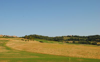 Lina - Podere Ribatti - Casole D'elsa, Toscana