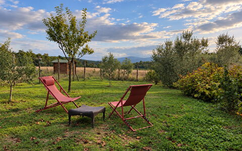 Alice - Podere Ribatti - Casole D'elsa, Toscana: Grass, Leaf, Natural Landscape, Landscape, Summer, Land Lot, Plain, Furniture, Rural Area, Garden