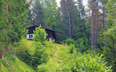Lieblingsplatz: Plant, Window, Natural Landscape, Tree, Wood, Larch, House, Evergreen, Terrestrial Plant, Groundcover