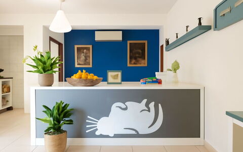 L'Oasi della Gatta Panciona: Interior Design, Wall Sticker, Furniture, Kitchen, Paint, Countertop, Room, Cabinetry, Ceiling, Design
