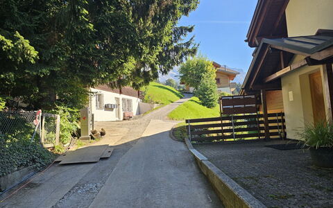 Elisabeth: Plant, Building, Sky, Road Surface, Tree, Asphalt, Sunlight, Shade, Neighbourhood, Residential Area