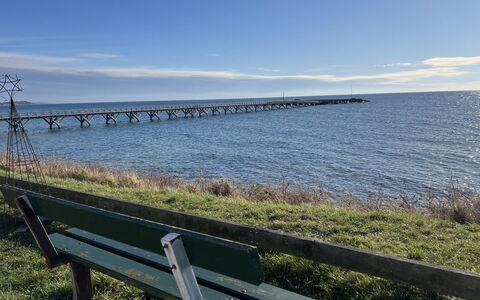 Morten - 120M from the Sea: Roof, Home, Door, Cottage, Shade, Siding, Yard, Estate, Backyard