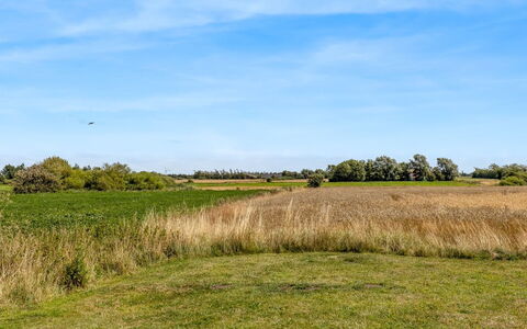 Haralde: Sky, Blue, Green, Daytime, Grass, Natural Environment, Grassland, Natural Landscape, Ecoregion, Vegetation
