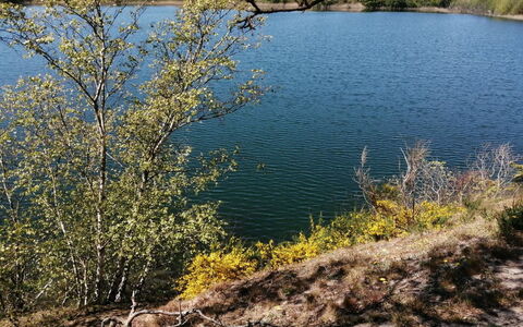 Helmi - 1Km from the Sea: Water Resources, Water, Body Of Water, Bank, Lake, Reservoir, Twig, River, Reflection