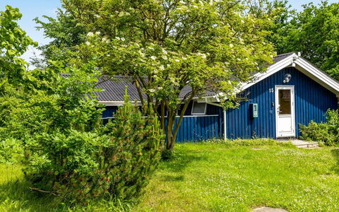 Alrun - 150M from the Sea: Shrub, Garden, Cottage, Spring, Lawn, Shade, Yard, Landscaping, Backyard, Farmhouse