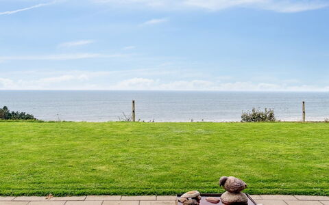 Enwald - 275M from the Sea: Grass, Green, House, Cottage, Grassland, Rural Area, Ecoregion, Landscape, Land Lot, Shrub