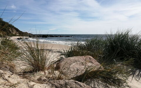 Lucie - 50M from the Sea: Natural Environment, Coast, Beach, Shore, Rock, Coastal And Oceanic Landforms, Sea, Sand, Ocean