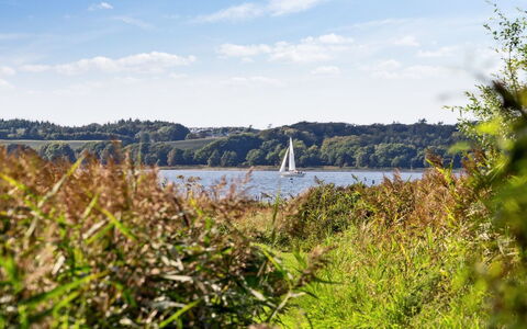 Berta - 70M to the Fjord: Sky, Blue, Water, Green, Grass, Natural Landscape, Vegetation, Horizon, Cloud, Grassland