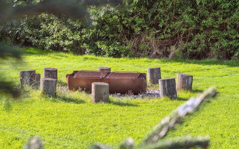 Berta - 70M to the Fjord: Grass, Grassland, Groundcover, Lawn, Trunk, Meadow, Garden, Pasture, Cemetery