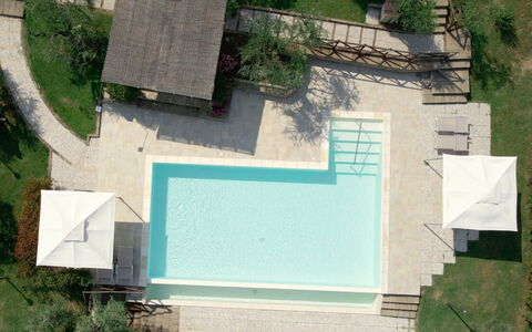 Villa Le Ripe - Gambassi Terme, Toscana: Plant, Green, Nature, Leaf, Water, Botany, Land Lot, Urban Design, Vegetation, Slope
