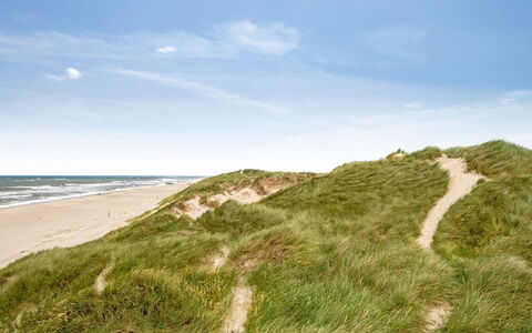 Sylwia - from the Sea: Sky, Blue, Natural Environment, Ecoregion, Horizon, Vegetation, Summer, Landscape, Sand, Plant Community