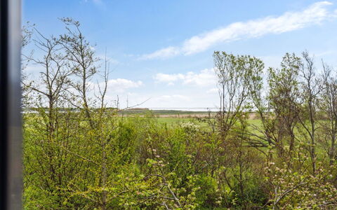 Othinkarl - 1Km from the Sea: Grass, Grassland, Landscape, Ecoregion, Plain, Plant Community, Land Lot, Outdoor Furniture, Prairie, Shrubland