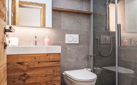 Pontresina 15: Plumbing Fixture, Bathroom, Flooring, Toilet Seat, Toilet, Interior Design, Floor, Sink, Tap, Bathroom Cabinet
