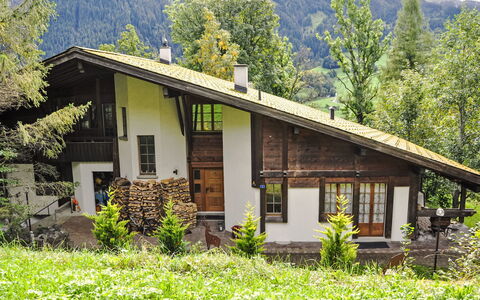 Im Chehr: Plant, Property, Building, Plant Community, Window, Tree, Botany, Green, Nature, Leaf
