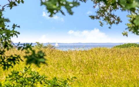 Thara - 100M from the Sea: Sky, Blue, Green, Daytime, Vegetation, Yellow, Horizon, Summer, Grassland, Natural Landscape