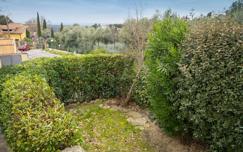 Montescudaio 300: Shrub, Hedge, Woody Plant, Garden, Plantation, Landscaping, Evergreen, Walkway, Herb