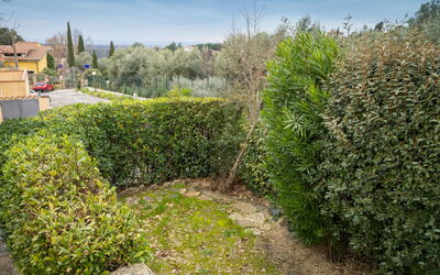 Montescudaio 300