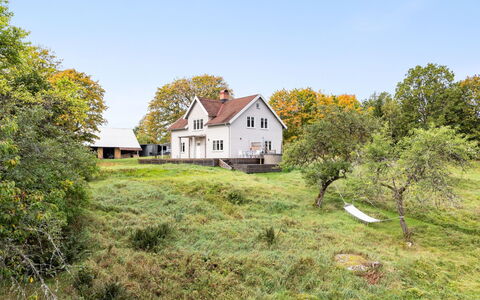 Älmegården: Plant, Sky, Natural Landscape, Tree, Window, House, Land Lot, Cottage, Grass, Landscape