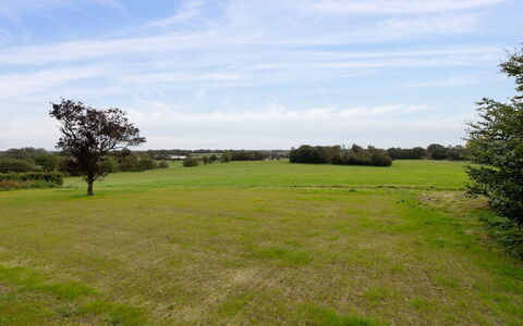 Landuin - 30Km from the Sea: Grass, Grassland, Landscape, Ecoregion, Plain, Plant Community, Land Lot, Outdoor Furniture, Prairie, Shrubland