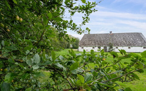 Landuin - 30Km from the Sea: Grass, Grassland, Landscape, Ecoregion, Plain, Plant Community, Land Lot, Outdoor Furniture, Prairie, Shrubland