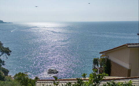 A Due Passi da Camogli 2, Seaview, Wifi: Water, Sky, Building, Azure, Vegetation, Coastal And Oceanic Landforms, Plant, Morning, Horizon, House