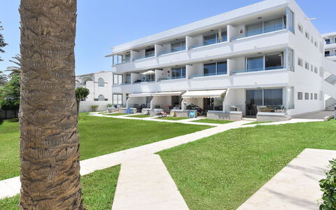 San Agustín 1002: Sky, Plant, Building, Window, Urban Design, Grass, Condominium, Neighbourhood, Tree, Residential Area