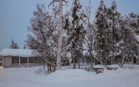 Saariseläntie 8 e 3: Wood, Cottage, Log Cabin, Forest, Shed, Garden Buildings, Larch, Woodland, Wood Stain