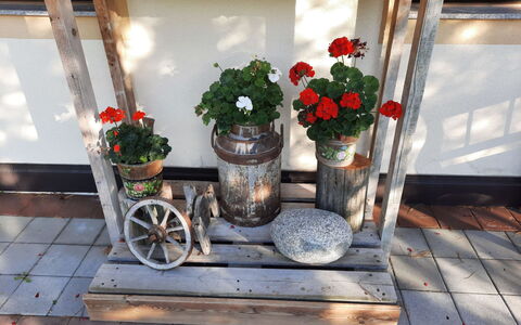 Neukirchen am Großvenediger 700: Flower, Plant, Property, Flowerpot, Building, Table, Houseplant, Window, Vase, Wood