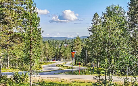 Vuonelo 8 a 2: Tree, Leaf, Grass, Nature, Landscape, Land Lot, Thoroughfare, Forest, Grove