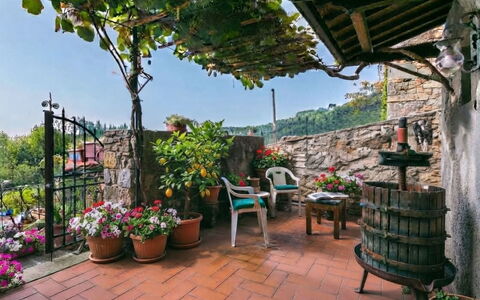 La Casa del Fale di Collodi: Flowerpot, Houseplant, Spring, Garden, Floristry, Balcony, Courtyard, Floral Design