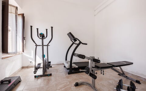 Anilde, Holiday Home with Pool, Wifi, Tuscany: Wood, Floor, Flooring, Building, Hardwood, Machine, Metal, Exercise Machine