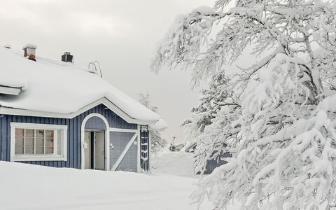 Sinitaivas: Wood, Snow, Winter, Cottage, Freezing, Home, Log Cabin, Larch, Siding
